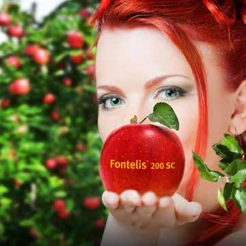 Fontelis 200 SC FUNGICYD Fontelis : informacja dla producentów jabłek w Europie Fontelis (pentiopirad) to fungicyd zapewniający ochronę przed szerokim spektrum chorób.
