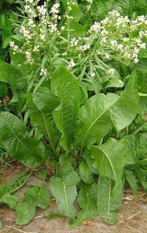 SPICHRZOWE