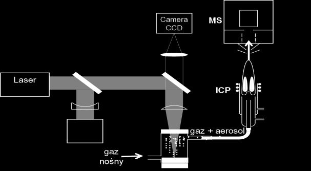 Mapowanie LA ICP MS metoda ablacji laserowej z jonizacją w_plazmie