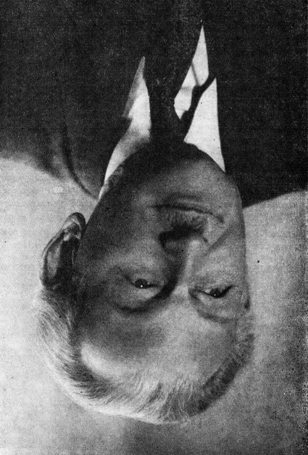 85-LECIE POLSKIEGO TOWARZYSTWA ENTOMOLOGICZNEGO 17 Fot. 3. Prof. dr hab. Konstanty STRAWIŃSKI się nie zadrażniać relacji z władzami centralnymi. Za jego prezesury doszło w 1963 r.