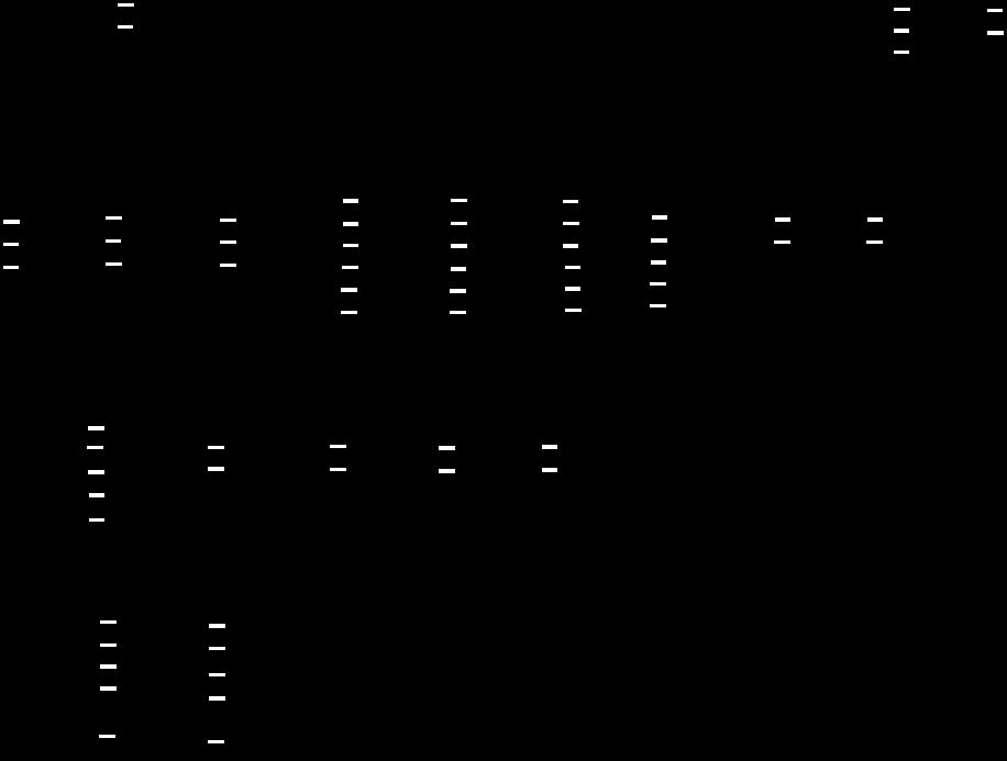 NR3-7 Rev. A (Instrukcja obsługi) 13 Parametry Uklad Układ polaczen połączeń 3 faz.- 3Ph-4W 4 przew. 3 faz.- 3Ph-3W 3 przew. 1 faz.-2 1Ph-2W przew.