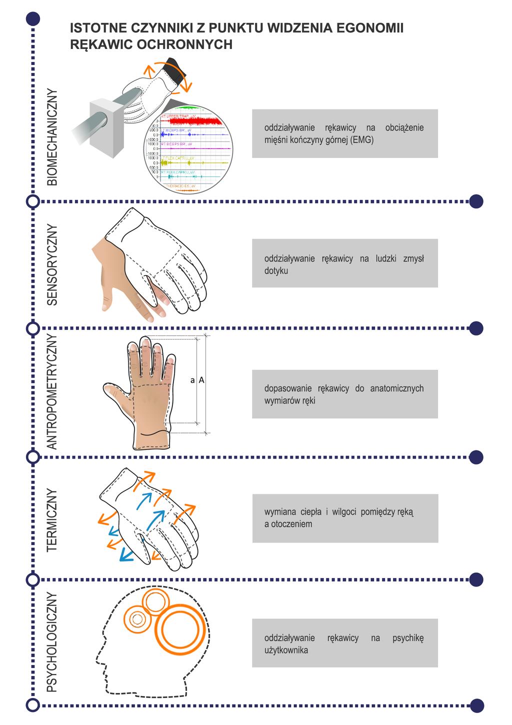 Badania ergonomii ŚOI Badania laboratoryjne ŚOI z zakresu biomechaniki Wskaźnik ograniczenia zręczności związany z wykonywaniem czynności zawodowych w rękawicy - EMG