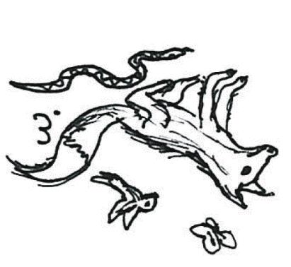 12.