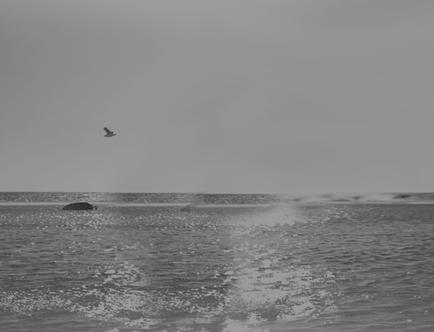 Fotografowanie fajerwerków. PLAŻA&ŚNIEG Sceny nad morzem, nad jeziorem, na plaży i na śniegu. SAMOWYZWALACZ W tym trybie osoba fotografująca może również zostać uwieczniona na zdjęciu.
