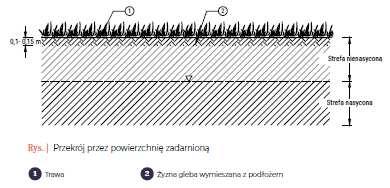 TYP 1 POWIERZCHNIA PRZEPUSZCZALNA ZADARNIONA LUB ŻWIROWA Przyjęto: szerokość 0,5, długość 1 mb Lp.