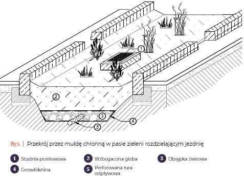TYP 1 MULDA CHŁONNA Przyjęto: szerokość 3,0 m, głębokość 0,85 m, długość 1 mb Lp.