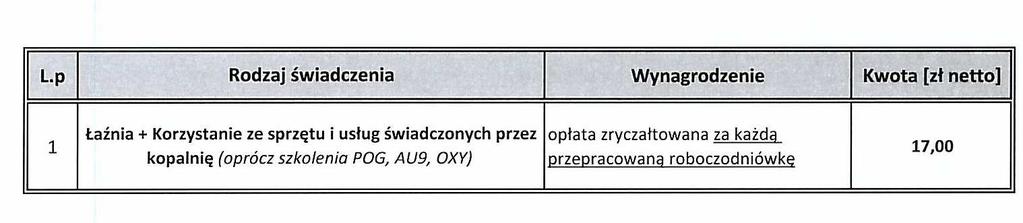 WYKONAWCA
