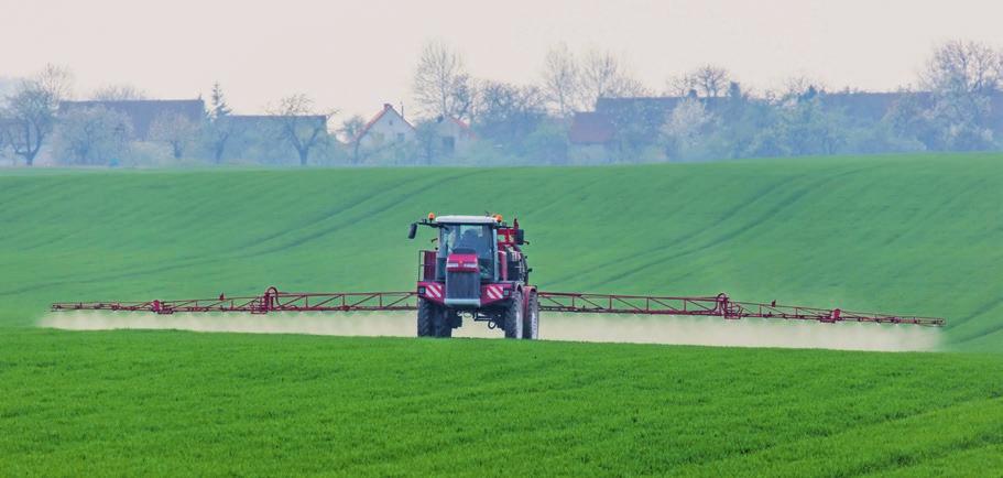 Następstwo roślin Po zastosowaniu herbicydu wiosną i po zbiorze plonu MOŻESZ zasiać/zasadzić: jesienią: zboża, rzepak ozimy, gorczycę na poplon, kapustę z rozsady, trawy, wiosną: zboża jare,