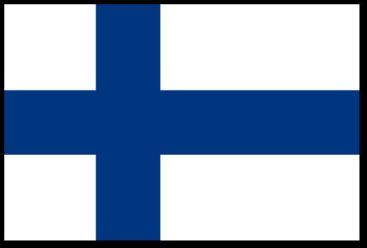 FINLANDIA założona w 2000 r. FIBS ponad 300 członków Wiodąca sieć zajmująca się odpowiedzialnością biznesową w Finlandii. Zrzesza nie tylko przedsiębiorstwa.