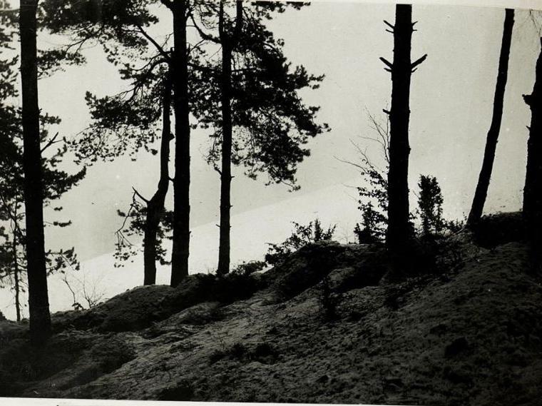 Na austriackim zdjęciu z 1914 roku widoczne są okopy i ziemne stanowiska