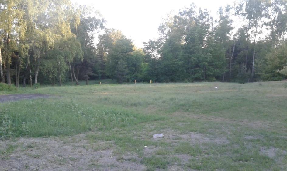 postojowymi. Dodatkowo mieszkańcy zwracają uwagę na zabezpieczenie sąsiadującego z parkingiem hydrantu.