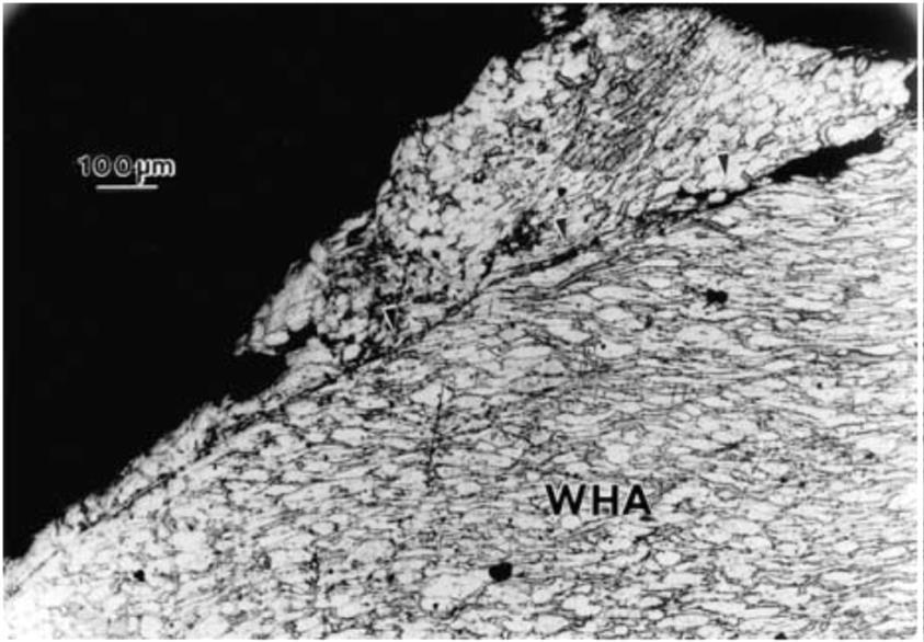 12 M. Magier Rys. 3. Pasmo adiabatycznego ścinania w materiale penetratora WHA po procesie penetracji [3] Fig. 3. An adiabatic shear band inside WHA penetrator after penetrating effect [3] 3.