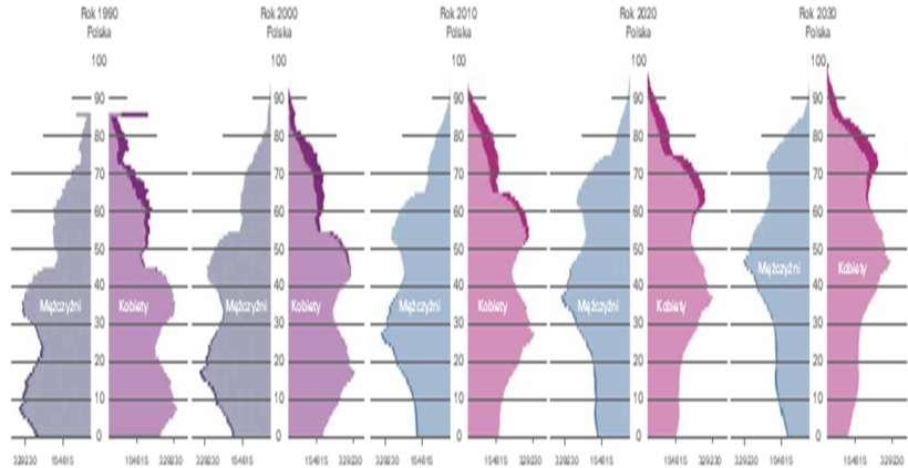 Przyczyny: Starzenie od dołu i od góry piramidy wieku Demografia