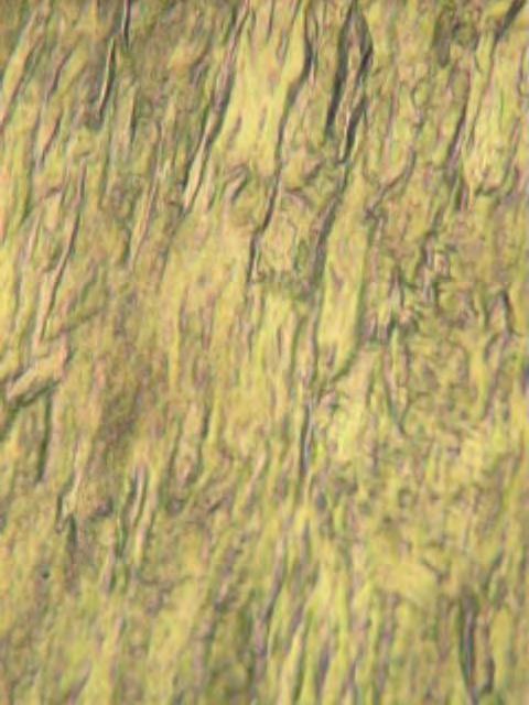 Nb Surface Finish