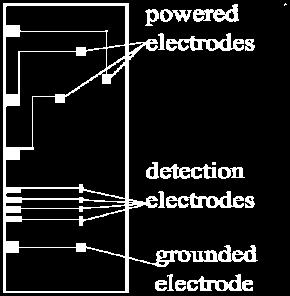 BIN-ami do MEPS firmy SGE Analytical Science (Australia), łaźnię ultradźwiękową firmy Polsonic (Polska) i wirówkę Allegra X-30R Centrifuge firmy Beckman CoulterTM (Stany Zjednoczone).