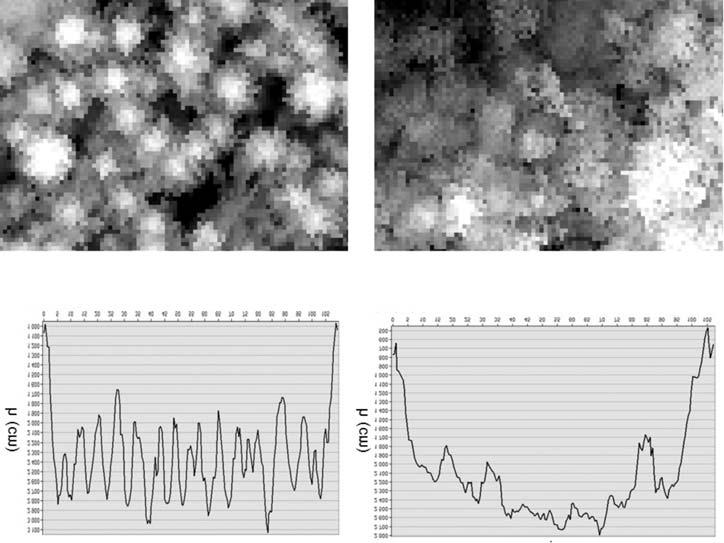326 K. Stereñczak / Leœne Prace Badawcze, 2013, Vol. 74 (4): 323 333. D³ugoœæ profilu (m) / Cross section (m) D³ugoœæ profilu (m) / Cross section (m) Rycina 3.