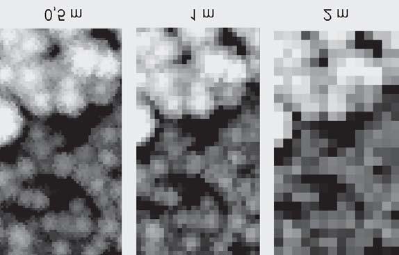 330 K. Stereñczak / Leœne Prace Badawcze, 2013, Vol. 74 (4): 323 333. Rycina 8.