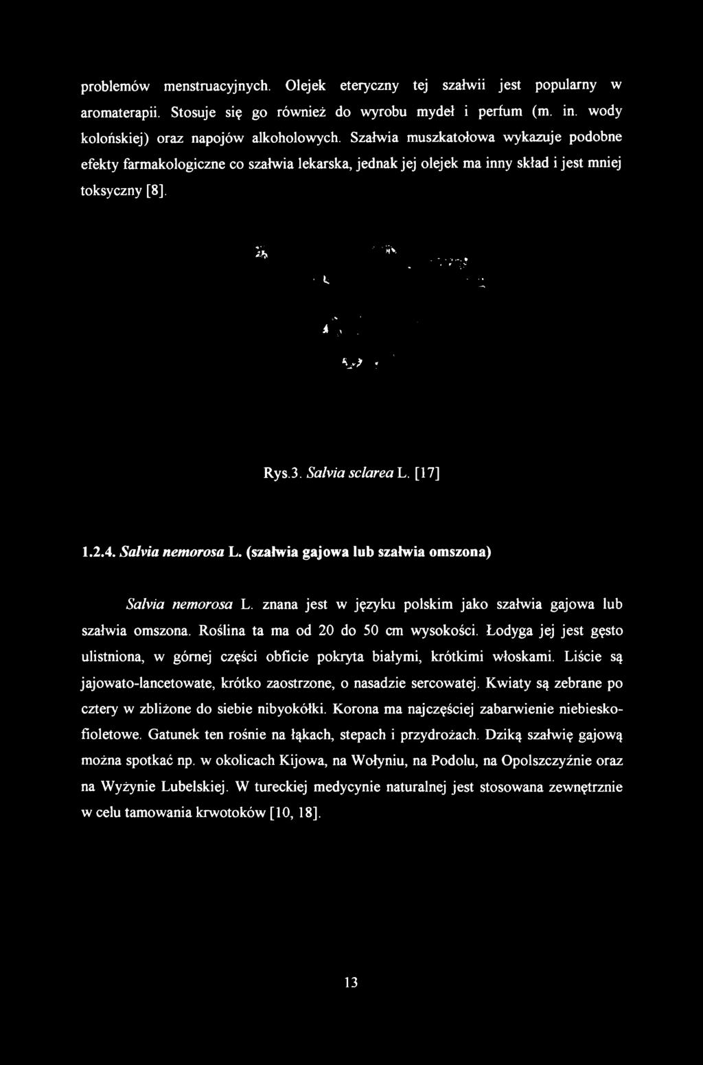 Safoia sclarea L. [17] 1.2.4. Salvia nemorosa L. (szałwia gajowa lub szałwia omszona) Safoia nemorosa L. znana jest w języku polskim jako szałwia gajowa lub szałwia omszona.
