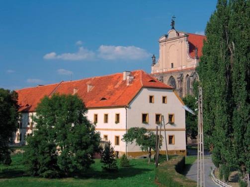 Dodatkowo składniki organiczne Lectum CAMAG są stabilizowane przez składniki zamierające Magnez i Wapno o działaniu bakterio i grzybobójczym.
