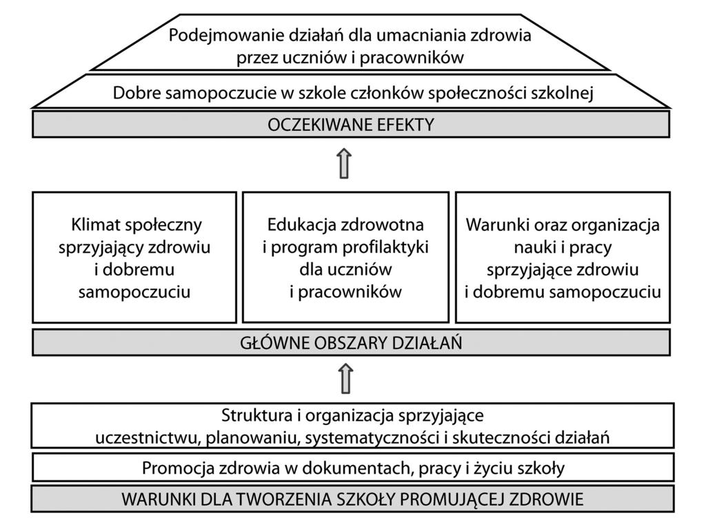2. Definicja, model i standardy szkoły promującej zdrowie W 2015 r. dokonano w Polsce modyfikacji definicji, modelu i standardów SzPZ opracowanych w 2006 r.