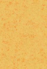 423761 433761 acier LRV 16% 423713