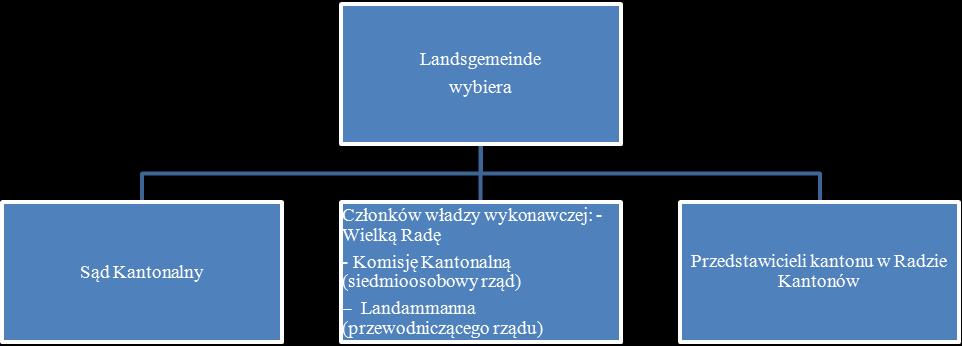 Wykres 1. Kreacyjna funkcja Landsgemeinde Źródło: opracowanie własne na podstawie (Bhagwan, Bhushan 2004: 355).