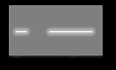 𝑴𝒈 f f() Według