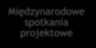 KATEGORIE BUDŻETOWE W PROJEKCIE