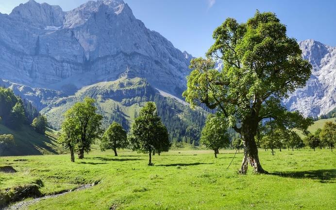 Długość trasy 12 km, czas przejścia około 8 godzin II Eng (1200) Lamsenjochhütte (1953) Falzturn (1070) Długość