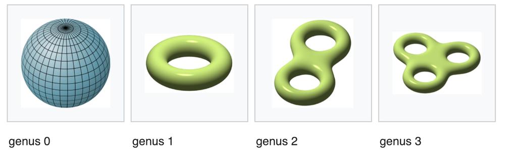Genus The genus of connected, orientble surfce is n integer representing the mximum number of cuttings long non-intersecting