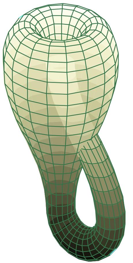 Klein bottle: non-orientble surfce https://en.wikipedi.