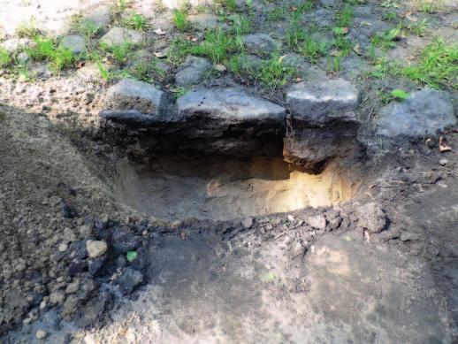 Widok odkrywki nr 1, wykonanej przy kamiennej drodze z Owińsk do leśniczówki w Potaszach. Fot. Ryszard Chojnacki ca 80 cm pojawiły się przewarstwienia iłów koloru niebieskiego.