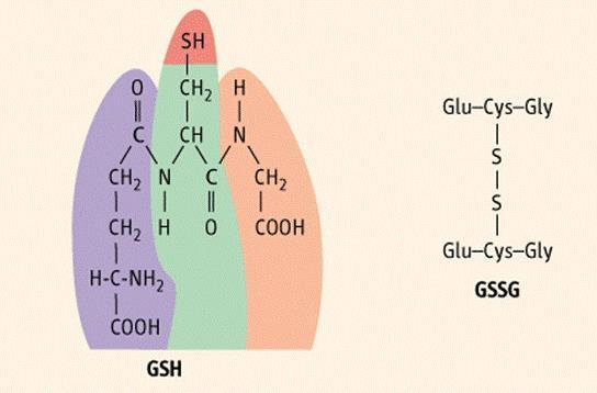 Glutation