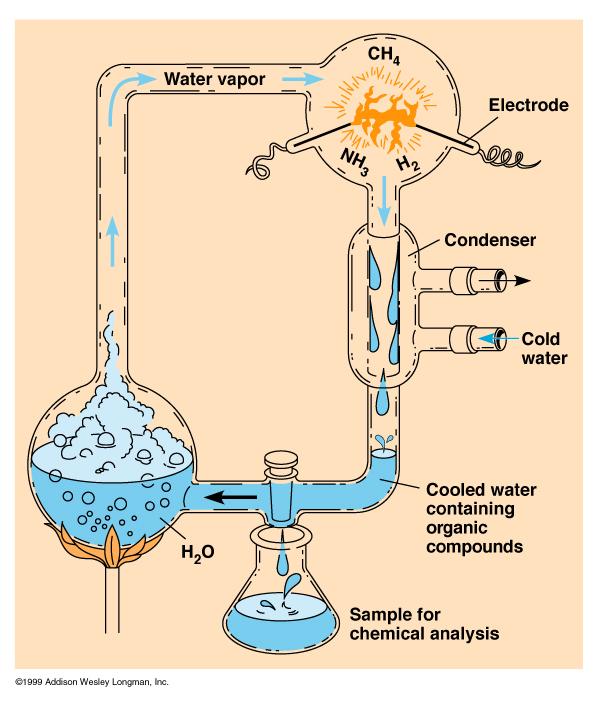 Experiment by Miller: