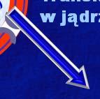Replikacja DNA Gen Transkrypcja w jądrze Gamety Translacja mrna Białko Cecha Osobniki Informacja