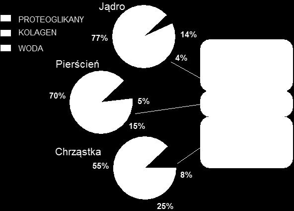 Skład krążka międzykręgowego Względna zawartość trzech głównych składników