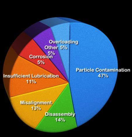 The Most Common Causes