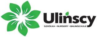 Oferta / Предложение / Offer WIOSNA / ВЕСНА / SPRING 2019 Nazwa łacińska Nazwa polska Pojemnik Opis Abies concolor jodła kalifornijska C26 100-120 Abies koreana jodła koreańska C2 20-40 Abies koreana