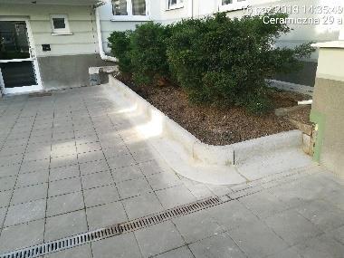 Krzewy i drzewa rosnące w ogródkach przydomowych przyległych do lokali mieszkalnych znajdujących się w budynku usytuowanym przy ul.