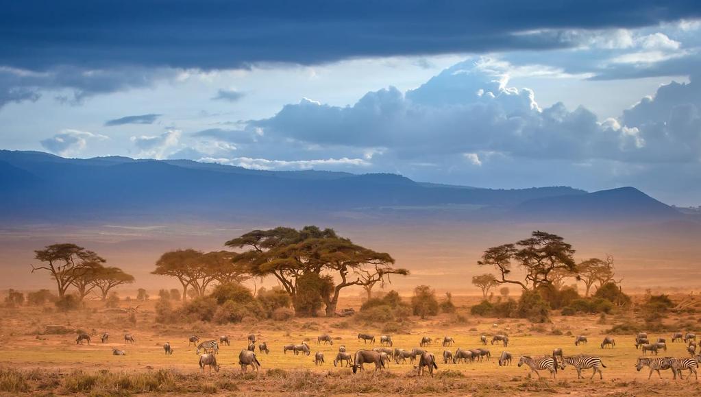 KENIA