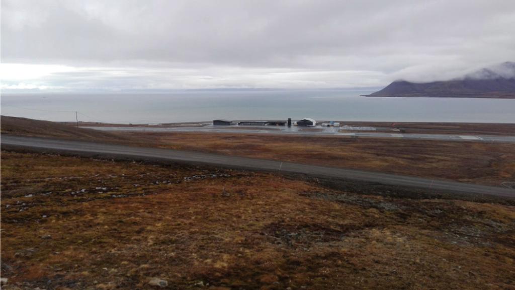 22 SEBASTIAN KENDZIERSKI Ryc. 3. Otoczenie lotniska Svalbard-Lufthavn w kierunku Isfjordu (fot. S. Kendzierski) Fig. 3. Surroundings of Svalvard-Lufthavn airport towards Isfjord (phot. S. Kendzierski) pełniejszego zobrazowania zależności i różnic wyniki przedstawiono w postaci wykresów liniowych obrazujących przebieg badanych wartości.