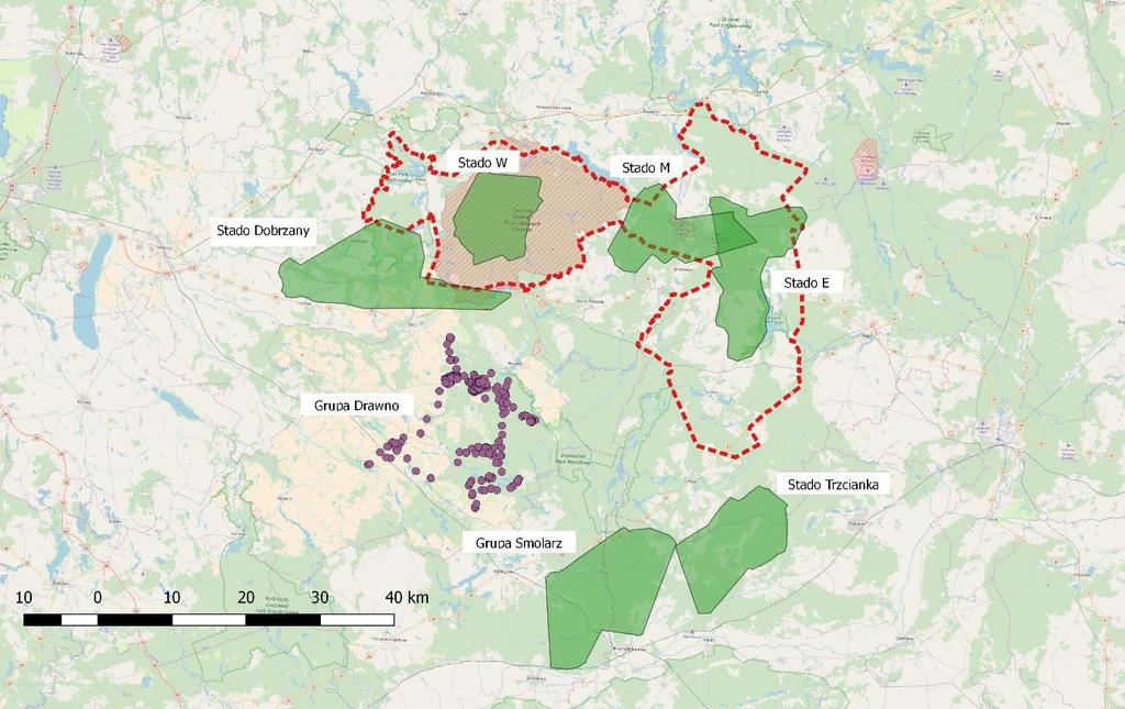 3 Areały roczne stad określono jako sumę przestrzenną areałów miesięcznych. Wielkości areałów w odniesieniu do lat ubiegłych zestawiono w tabeli 2 i przedstawiono je na mapie 1.