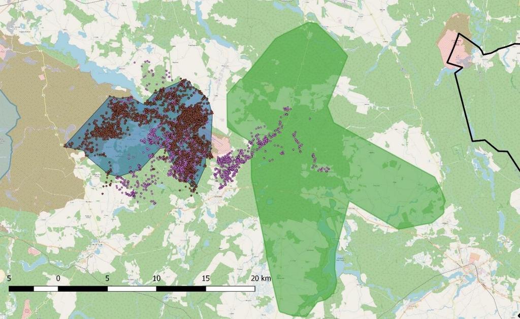 7 Mapa 2 Areały stada M (z lokalizacjami telemetrycznymi, brązowe punkty) i stada W w 2016 r.