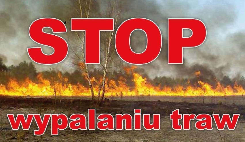WSTĘP Powiat Piaseczyński jest powiatem, w którym wypalanie traw i nieużytków jest zjawiskiem powodującym, że zajmuje czołowe miejsce w województwie pod względem tego typu zdarzeń.