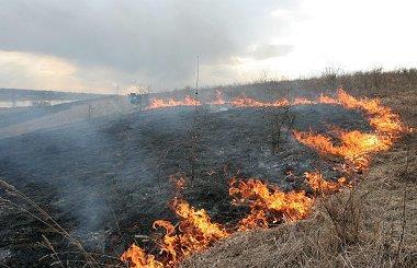 ZAGROŻENIE POŻAROWE LASÓW Pożary są głównym i najniebezpieczniejszym zagrożeniem dla naszych lasów.