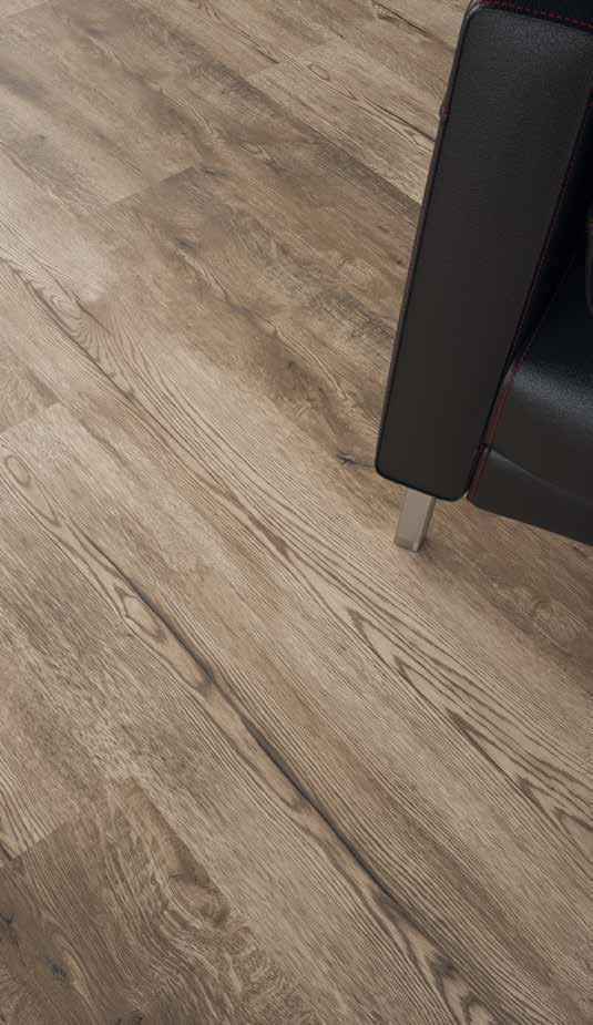 75 K069 Sidewalk Pine