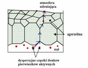 Marta Homa w granicach ziaren tylko na granicy zgorzelina/metal. Można, zatem oczekiwać wzrostu dyfuzji kationów Al 3+.