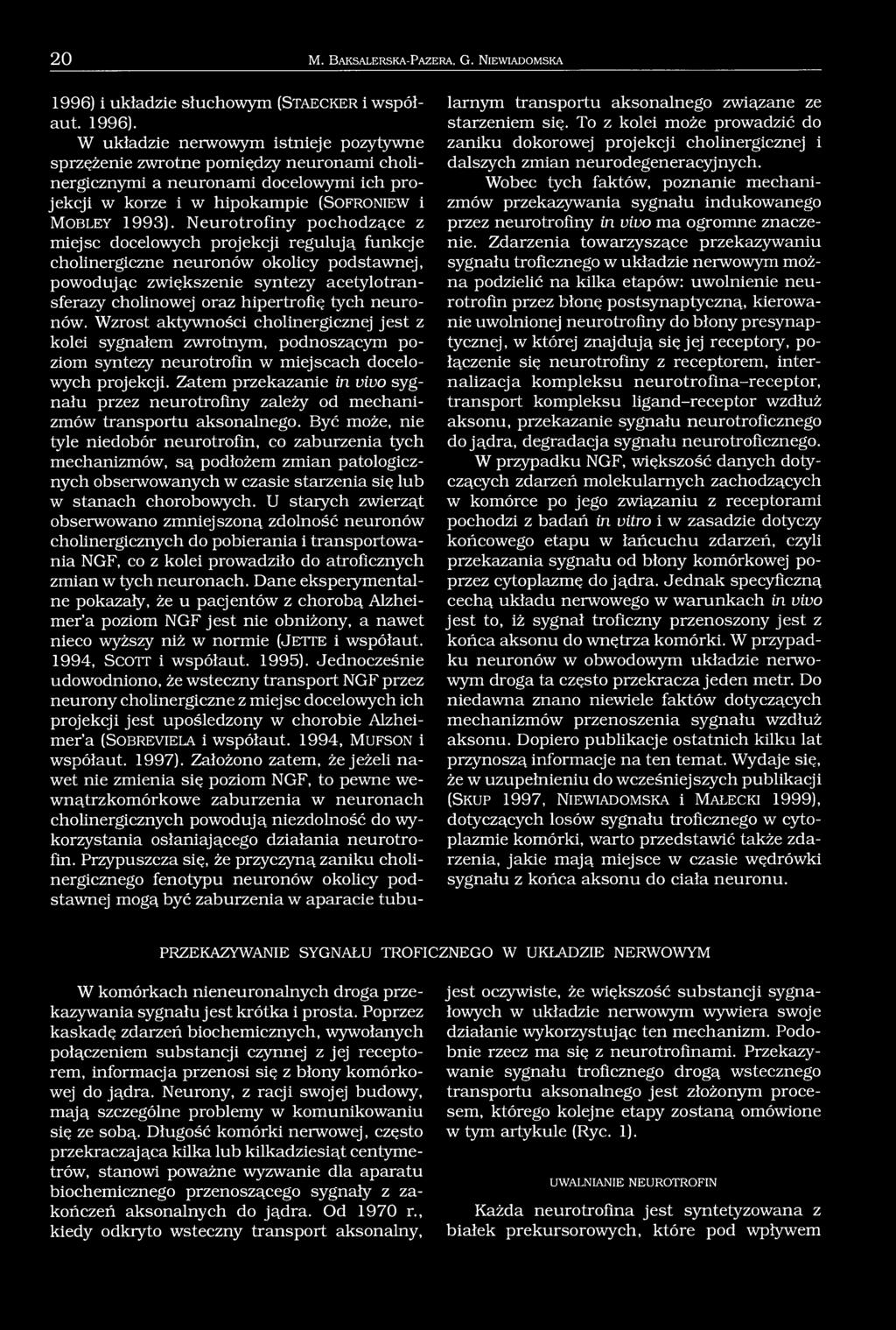 W układzie nerwowym istnieje pozytywne sprzężenie zwrotne pomiędzy neuronami cholinergicznymi a neuronami docelowymi ich projekcji w korze i w hipokampie (S o f r o n ie w i M o b l e y 1993).