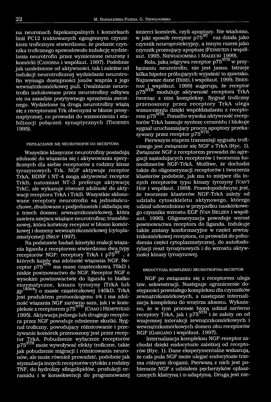 neurotrofin przez wymienione neurony i komórki (C a n ossa i współaut. 1997).