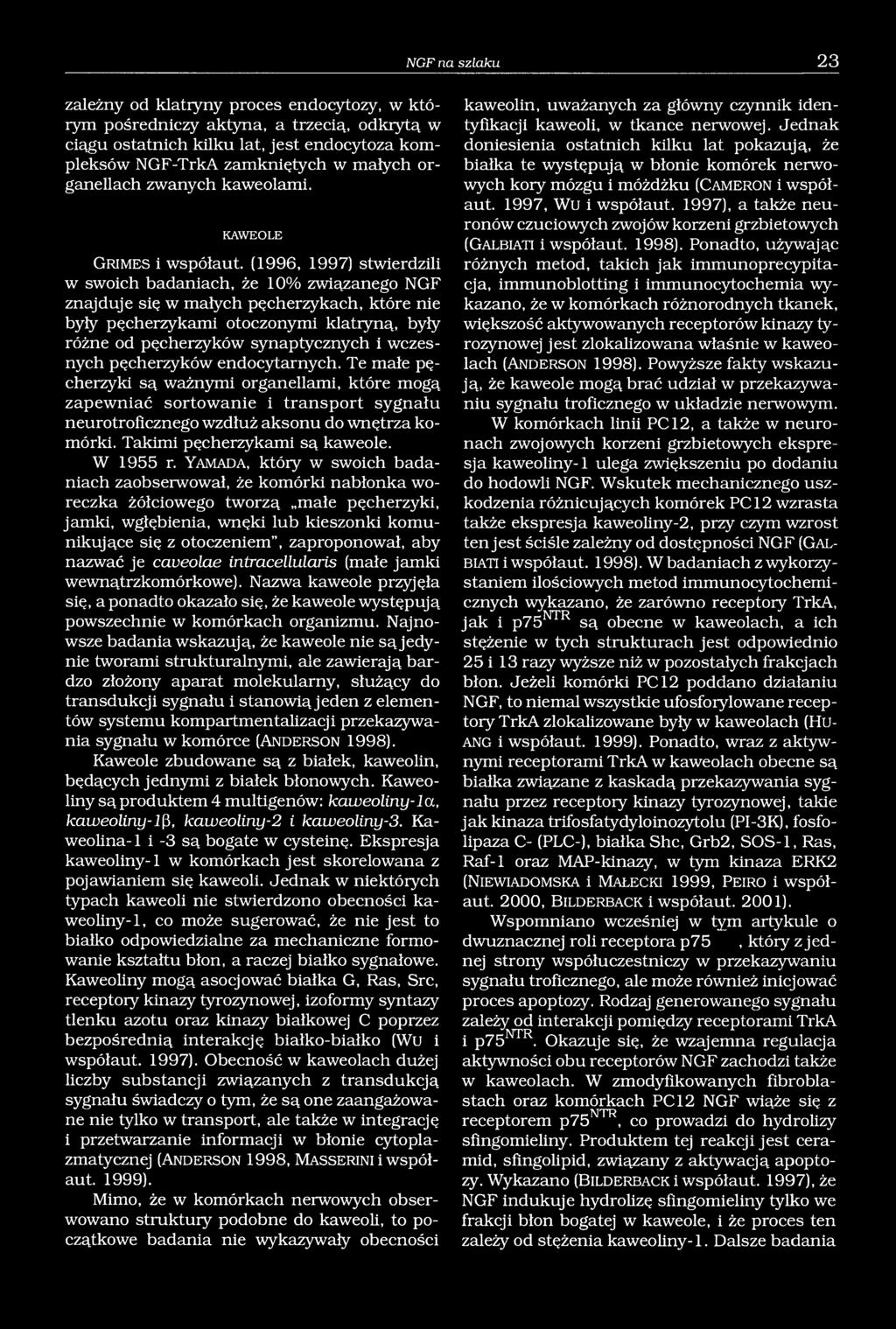 (1996, 1997) stwierdzili w swoich badaniach, że 10% związanego NGF znajduje się w małych pęcherzykach, które nie były pęcherzykami otoczonymi klatiyną, były różne od pęcherzyków synaptycznych i